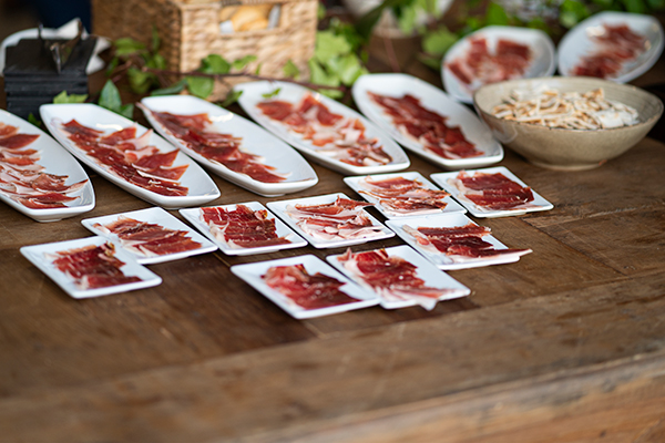 Paleta Ibérica de Recebo